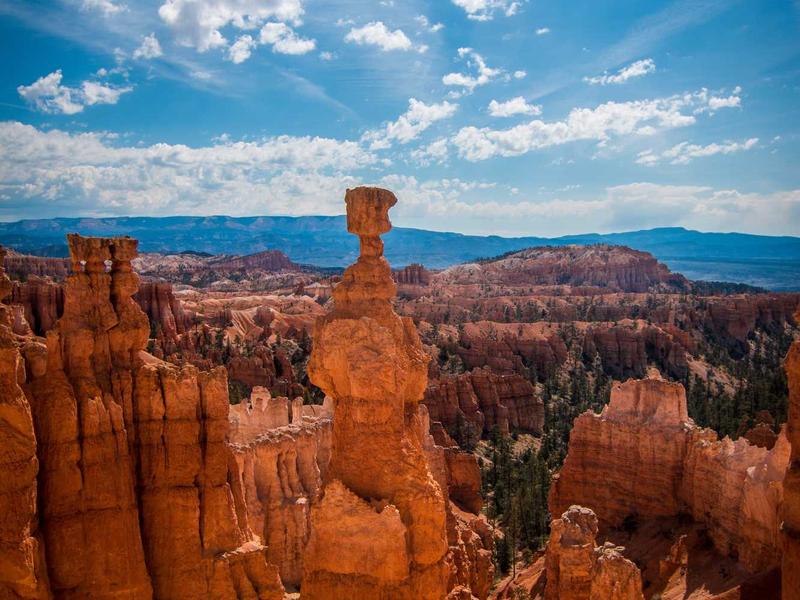 sudoku even odd sudoku screenshot 4